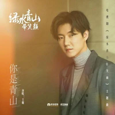 你是青山 专辑 徐海乔/田博/王晰 (Elvis Wang)