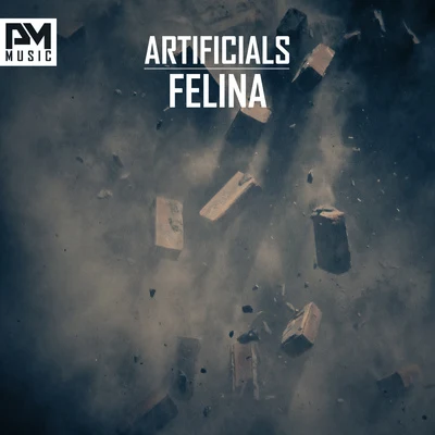 Artificials Felina