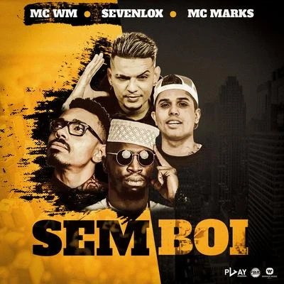 Sem boi 專輯 Na Hora H/MC WM/Na Hora H & MC WM