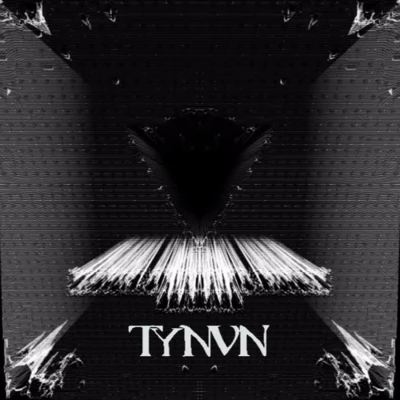 Riot (TYNVN Remix) 专辑 TYnan