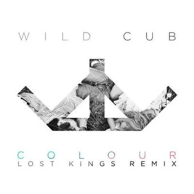 Colour (Lost Kings Remix) 專輯 J.Views/Wild Cub