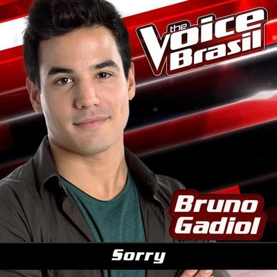 Sorry (The Voice Brasil 2016) 專輯 Dreicon/Bruno Gadiol/Prinsh