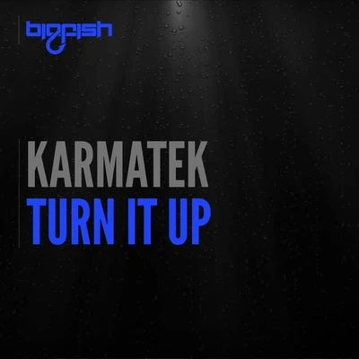 Turn It Up 專輯 Karmatek