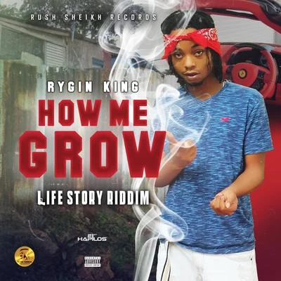 How Me Grow 專輯 Rygin King