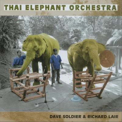 Thai Elephant Orchestra 專輯 PUBLIQuartet/Dave Soldier/Soldier String Quartet