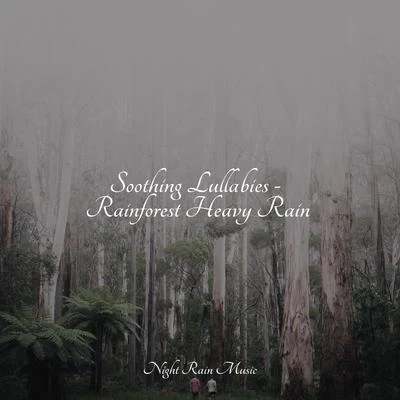 Soothing Lullabies - Rainforest Heavy Rain 專輯 Meditation