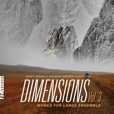 Dimensions, Vol. 3 專輯 Petr Vronsky/Anonymous/Moravian Philharmonic Orchestra