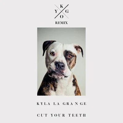 Cut Your Teeth (Kygo Remix) 专辑 Nilzen/Kygo