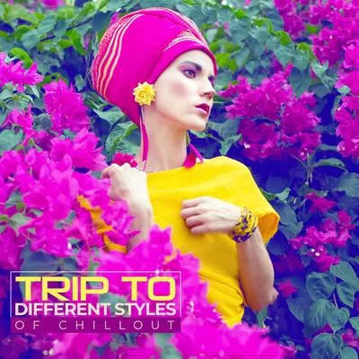 Trip to Different Styles of Chillout: 2019 Chill Out Music in Styles of Many Cultures Like Arabian, Oriental & Indian 專輯 Chill Music Universe/Power Pilates Music Ensemble