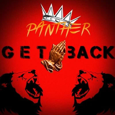 Get Back 专辑 Panther