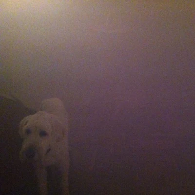 Dog In The Fog: Replica Collaborations and Remixes 專輯 Oneohtrix Point Never