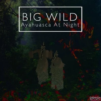 Ayahuasca At Night 專輯 Big Wild