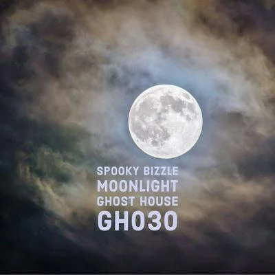 Moonlight 专辑 Spooky Bizzle