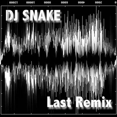 Last Remix 專輯 DJ Snake/Kayzo/Lauv