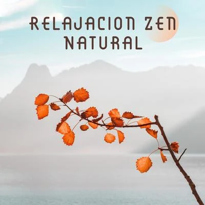 Relajacion Zen Natural - Relajese con la Musica Ambient y los Sonidos de la Naturaleza Creados para la Meditacion, la Relajacion, el Spa y el Bienesta 專輯 Relajacion Conjunto