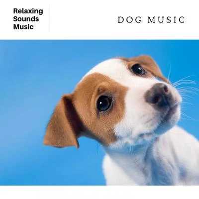 Dog Music: White Noise for Dogs 专辑 Calm Doggy/Pet Care Club/Music for Dog's Ear