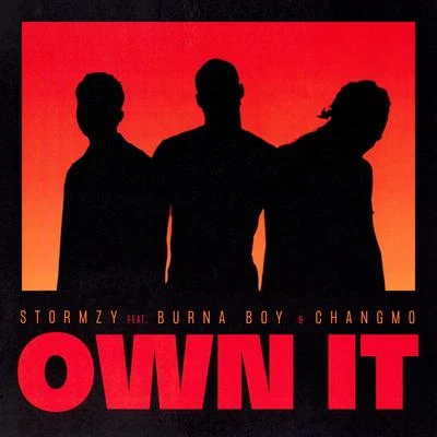 Own It (feat. Burna Boy & CHANGMO) 專輯 CHANGMO/SUMIN/Rick bridges/jeebanoff