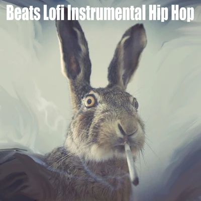 Beats Lofi Instrumental Hip Hop 专辑 LO-FI BEATS/Instrumental Rap Hip Hop/Joker Beats/Snake Beats