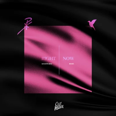 Right Now (Adam Pearce Remix) 專輯 Nurko/Dispatch/Ramirez/Pharmacist/Nayt