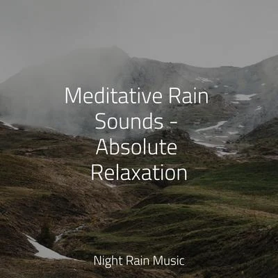 Meditative Rain Sounds - Absolute Relaxation 專輯 Sleep Makers Samples/Ambient Arena/Alpha Waves