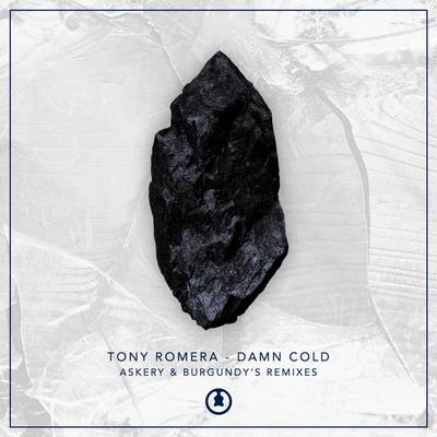 Damn Cold (Remixes) 专辑 Tony Romera