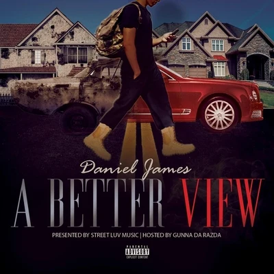 A Better View 專輯 DJ Booker T/Daniel James