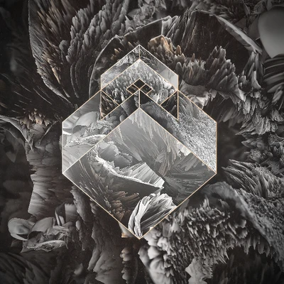 Exist 專輯 OVERWERK