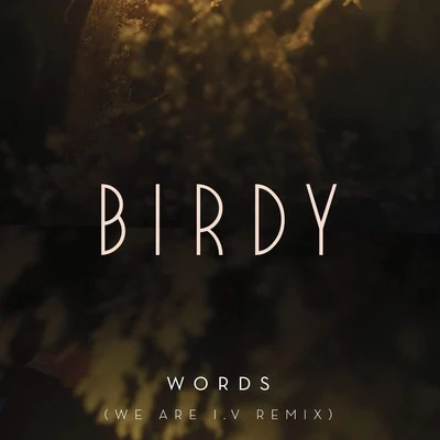 Words (We Are I.V Remix) 专辑 BIRDY