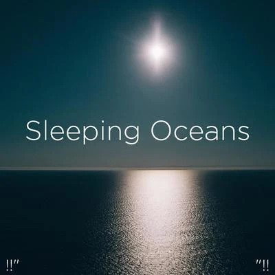 !!" Sleeping Oceans "!! 專輯 Ocean Waves for Sleep/Ocean Sounds