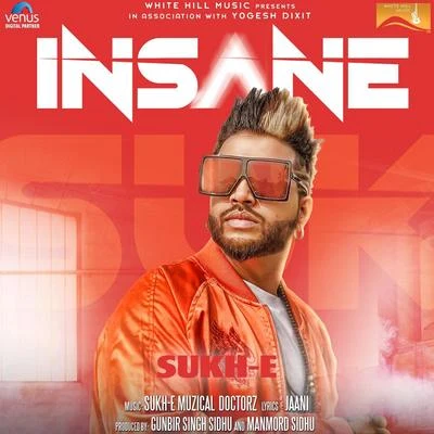 Sukh-E Muzical DoctorzJohn Nagra Insane