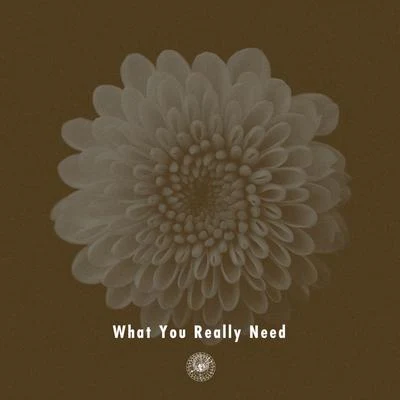 What You Really Need (feat. Miraa May) 专辑 AMPM/Michael Kaneko