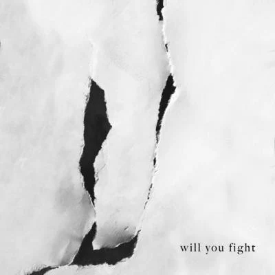 Will You Fight 專輯 BEGINNERS