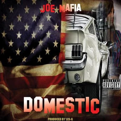 Domestic 專輯 Shaka Amazulu The 7th/Wu-Syndicate/Joe Mafia/Myalansky