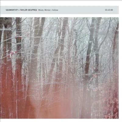 Wood, Winter, Hollow 专辑 Taylor Deupree