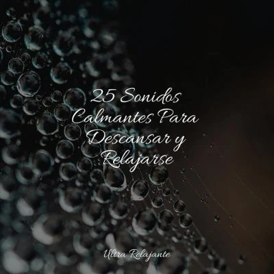 25 Sonidos Calmantes Para Descansar y Relajarse 專輯 Música a Relajarse/Musica Relajante Piano Master/Dulces Sueños