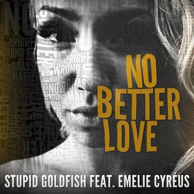 No Better Love 專輯 Stupid Goldfish