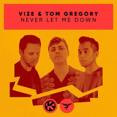 Never Let Me Down 專輯 VIZE