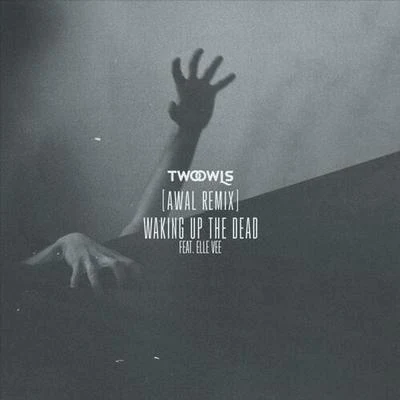 Waking Up The Dead (AWAL Remix) 专辑 AWAL/2ble Jay