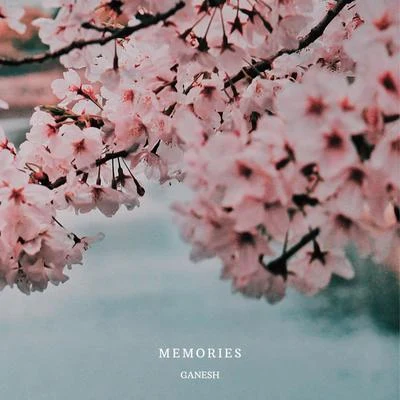 Memories 專輯 Aditya Bheemathati/Akshay Singh/Karuna varadareddy/Harsha Prawin/Ganesh