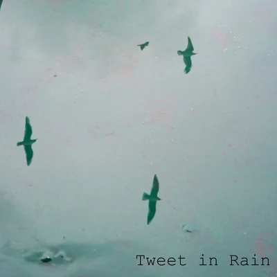 Tweet in Rain 专辑 ASMR/Loopable Radiance/Nature & Sounds Backgrounds