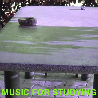 Music For Studying 专辑 Hugh Cornwell/Robert Williams