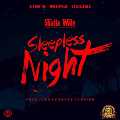 Sleepless Night 專輯 Nina Browwn/Shatta Wale