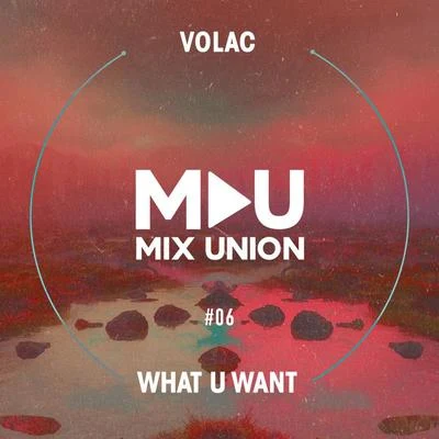 What U Want 專輯 Volac