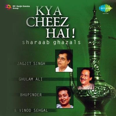 Kya Cheez Hai Sharaab Ghazals 專輯 Vinod Sehgal/Jagjit Singh/Chitra Singh