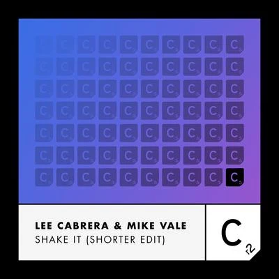 Mike Vale Shake It (Shorter Edit)