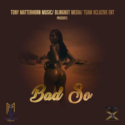 Bad So 專輯 Tony Matterhorn