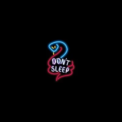 Dont Sleep 專輯 G2/Paloalto/Reddy