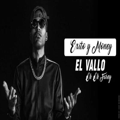 Exito Y Money 專輯 El Danya/Dj Gomeko/El Vallo