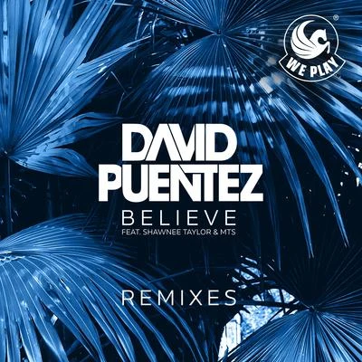 Believe (Remixes) 專輯 David Puentez/Henry Himself/JuicyTrax/Dirty Ducks/Silent Stunt