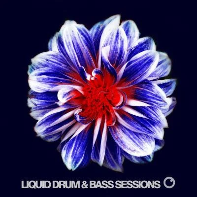 Liquid Drum Bass Sessions 2019 Vol 6 專輯 Rino Sambo/Emy Perez/Daddy Yankee/Stephen Oaks/Paul Morris